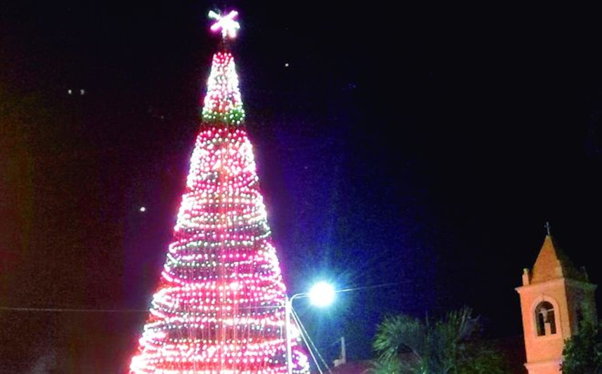 En El Cristo de Aguadulce brilla el árbol de navidad más grande de Centroamérica