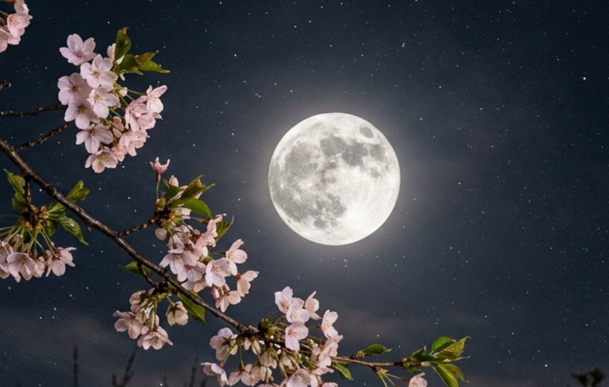 ¡Noche mágica en el cielo! Llega la Luna de las Flores y Panamá podrá verla en todo su esplendor