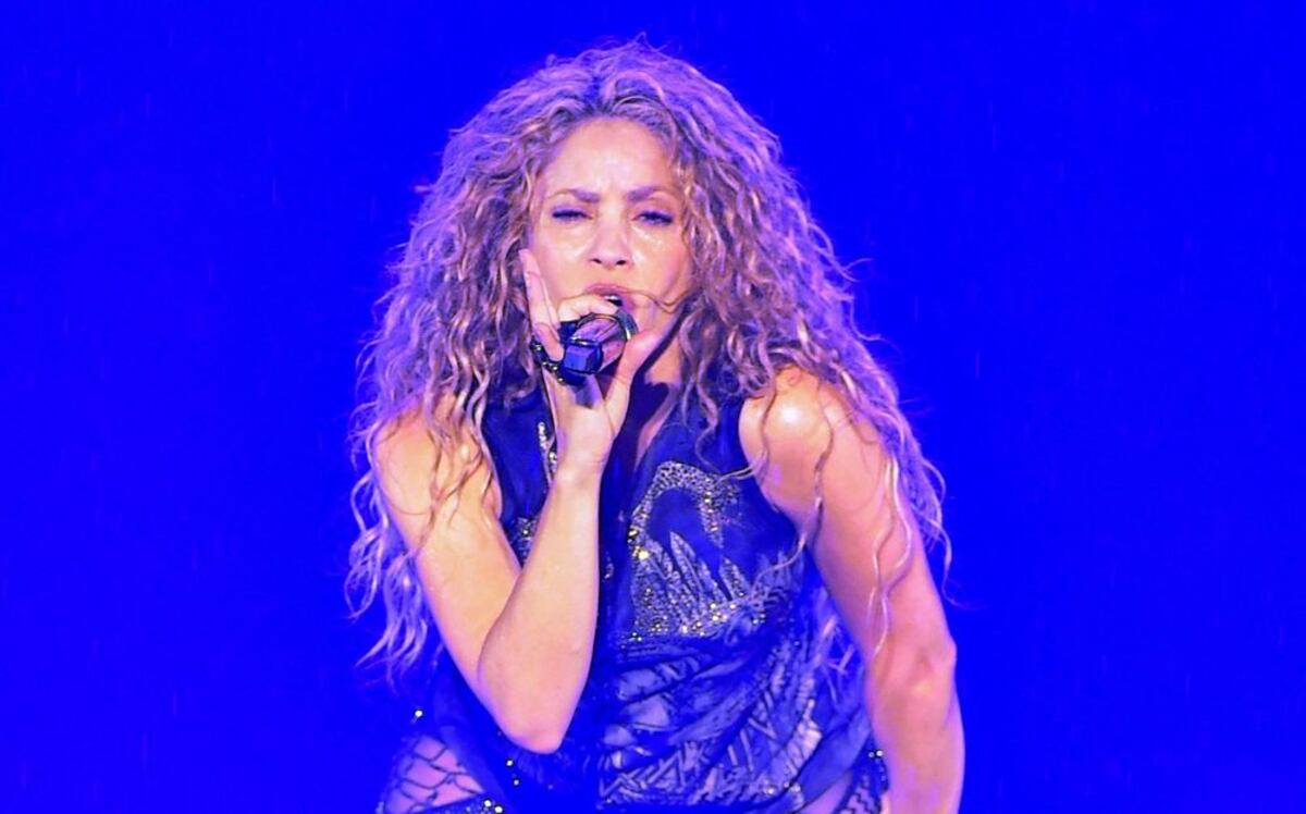 Shakira burla las reglas de seguridad de su concierto para consentir a fan