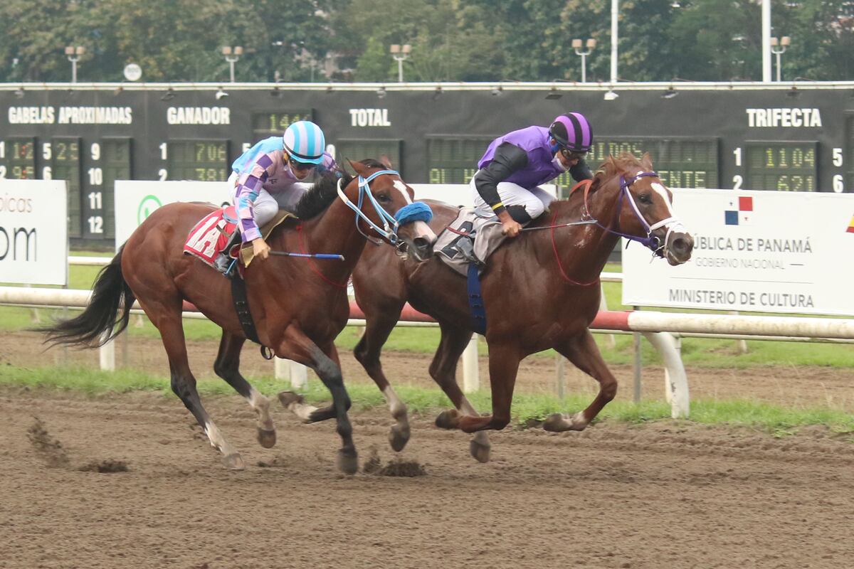 Duggan’ representará a Panamá en el Caribe