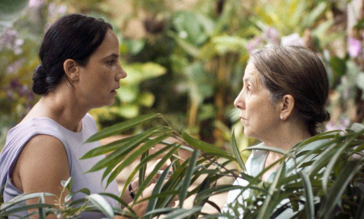 ‘Querido Trópico’ va por los Oscar y Goya 2026 tras conquistar festivales internacionales