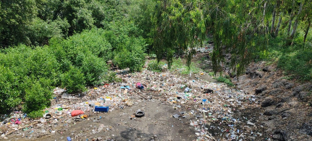 Juan Carlos Navarro alerta: ‘En 2050 habrá más plástico que peces en el mar’