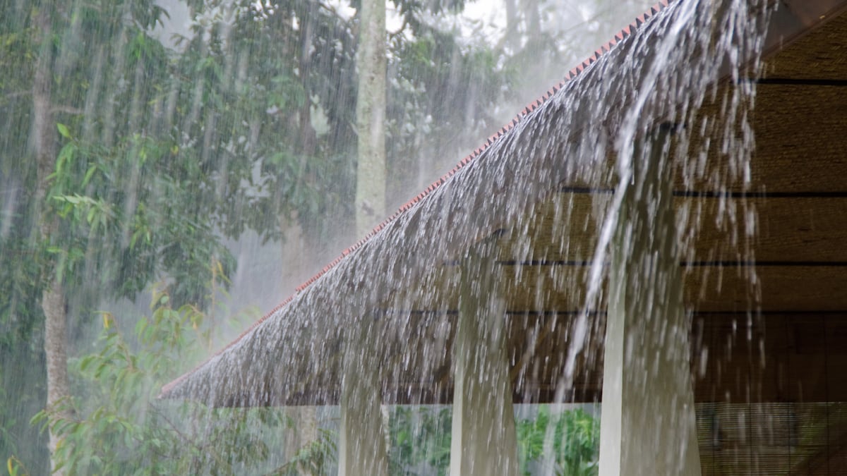 ¡Atención por lluvias! Extienden aviso de prevención en todo el país por vientos y tormentas eléctricas