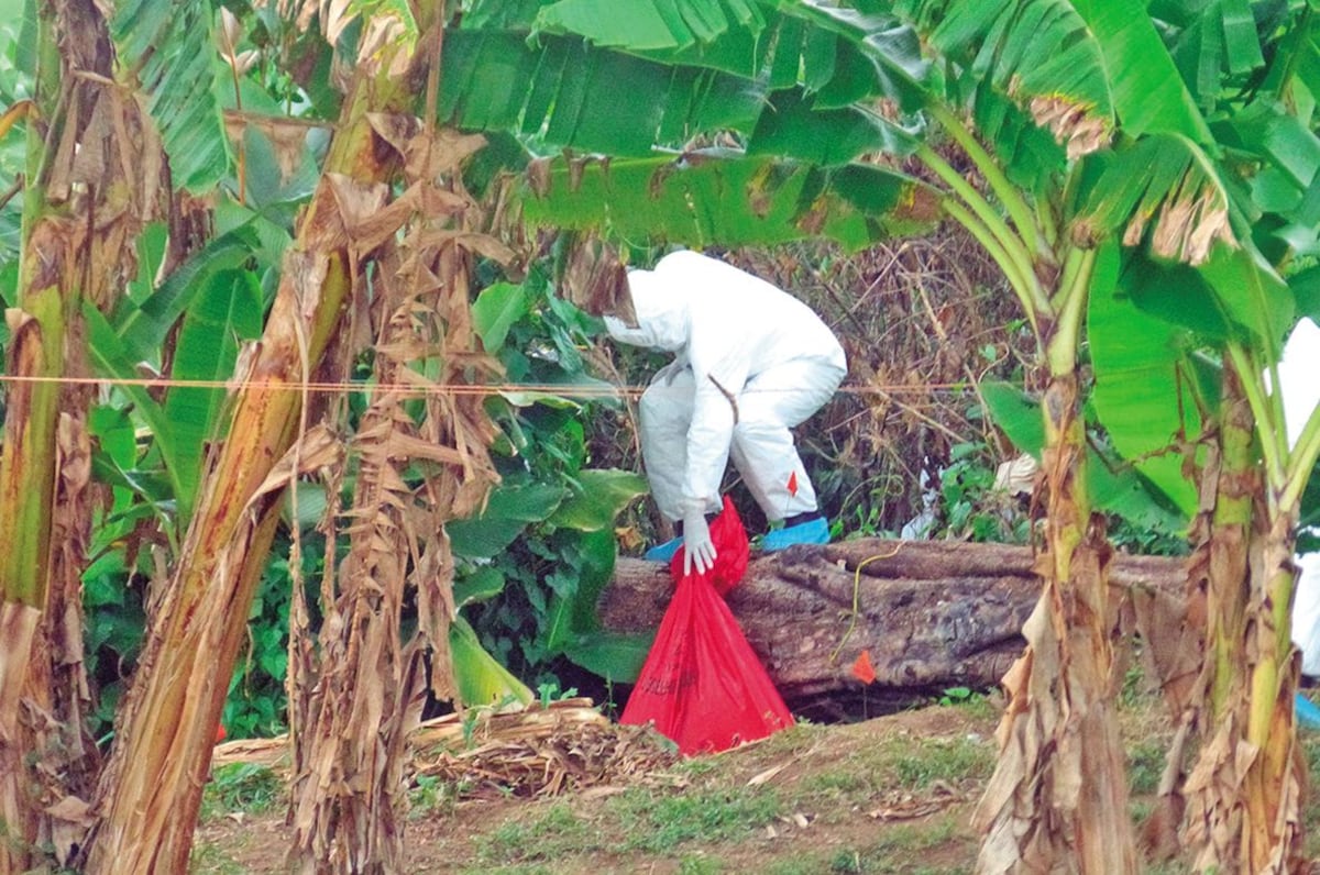 CON MUCHA MALDAD MATÓ A MICHELLE.'El Caníbal' no ha dicho dónde ocultó su cabeza