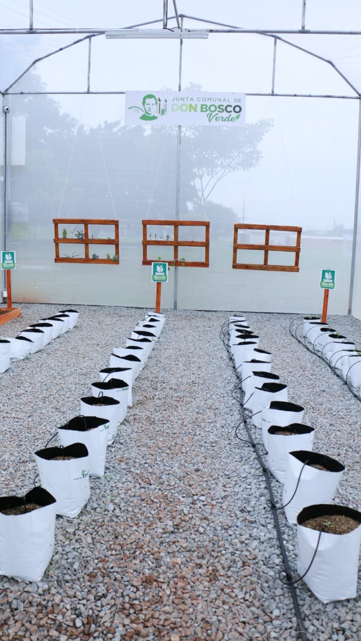 Don Bosco Cuenta con el primer huerto comunitario en la ciudad