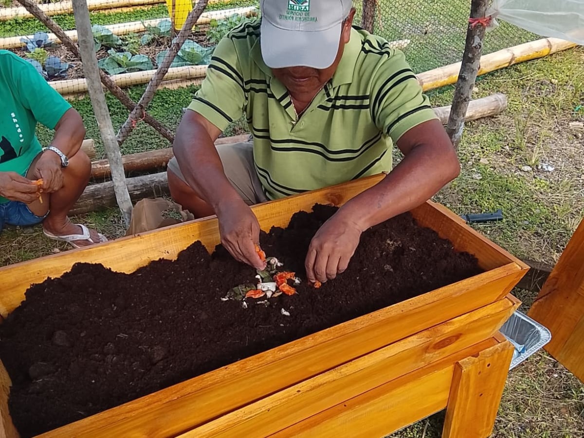 Guna Yala apuesta por agricultura sostenible con lombricompostaje