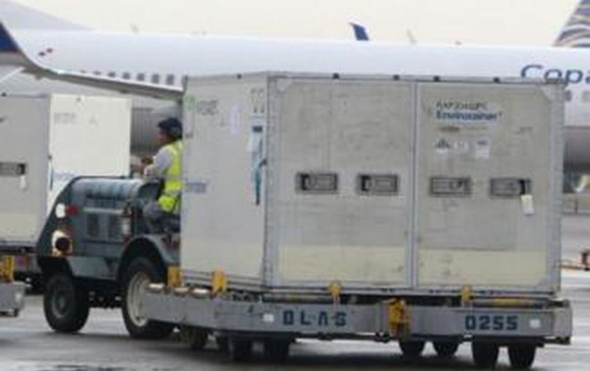 Prepárense. Cargamento de vacunas contra el AH1N1 ya está en Panamá