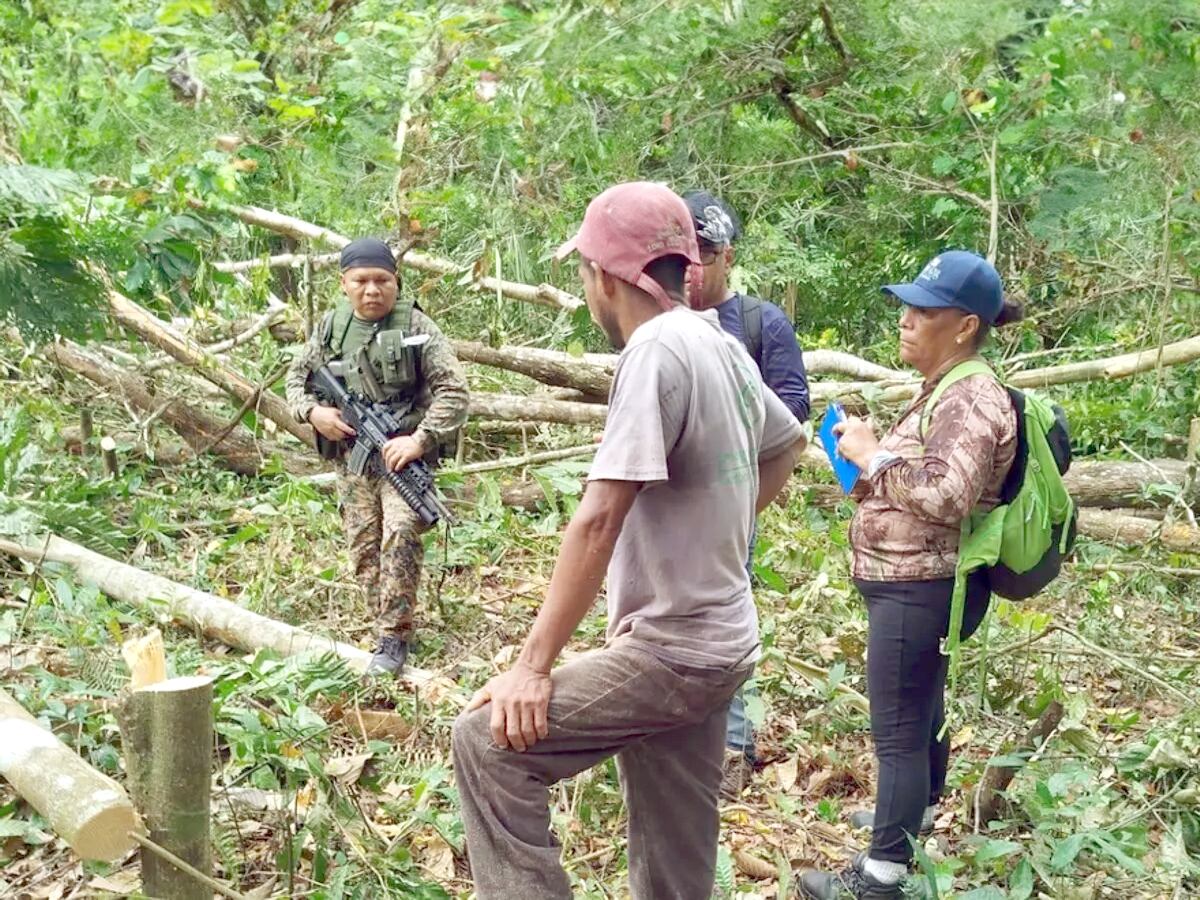 ¡A la cárcel por dañar la selva! Sorprenden a taladores ilegales en zona protegida de Darién