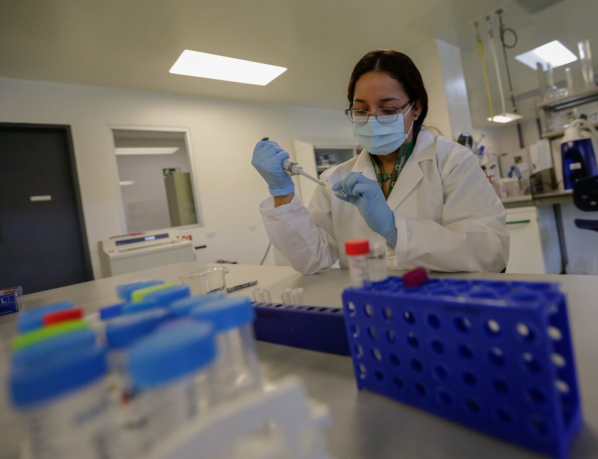 La Senacyt realizó el Café Científico “Mujeres en Ciencia: ¿Por qué estudiar una carrera STEM?”   