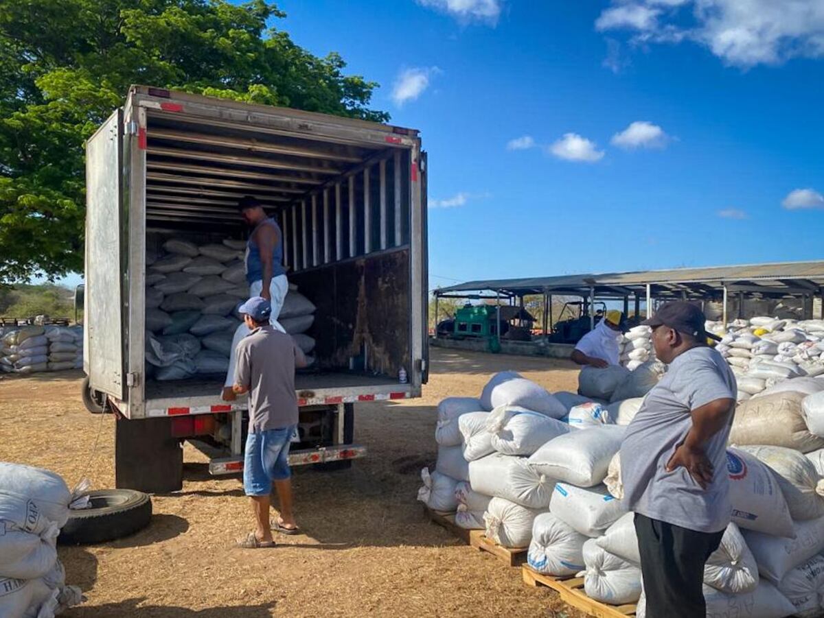 Pequeños productores venden 1,200 quintales de café