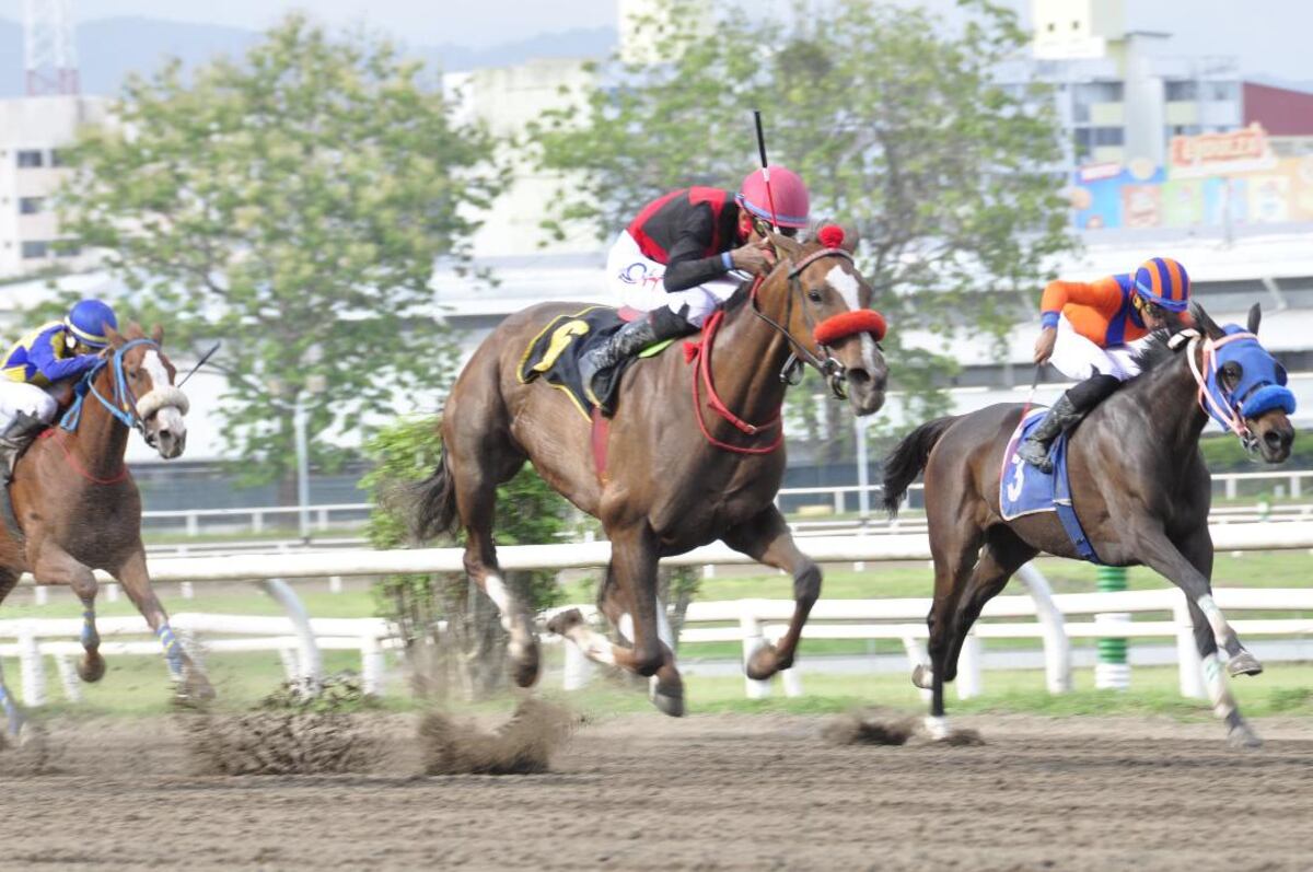 Panamá toma la posta: Serie Hípica del Caribe 2025 se muda a Panamá por problemas logísticos en Puerto Rico