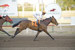 Clásicos hípicos el fin de semana