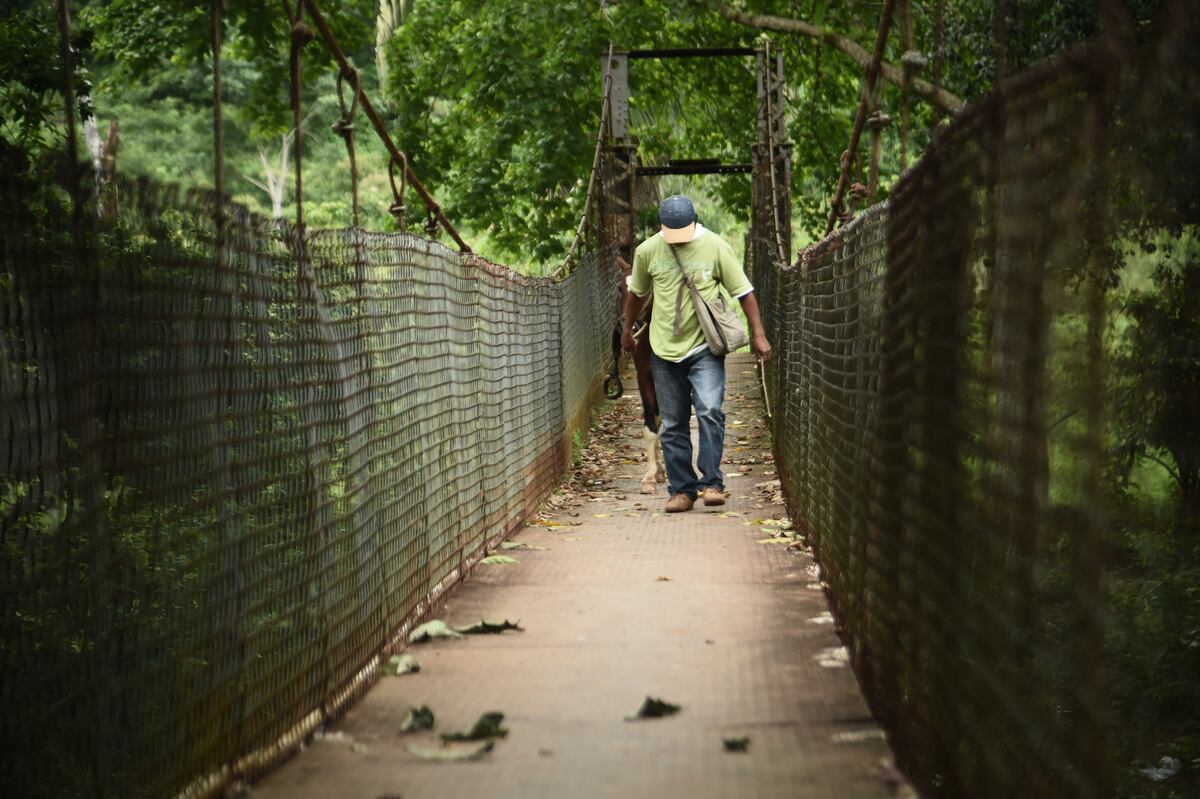 En Bajito de San Miguel de Toabré en Penonomé se reportan 30 casos de covid-19