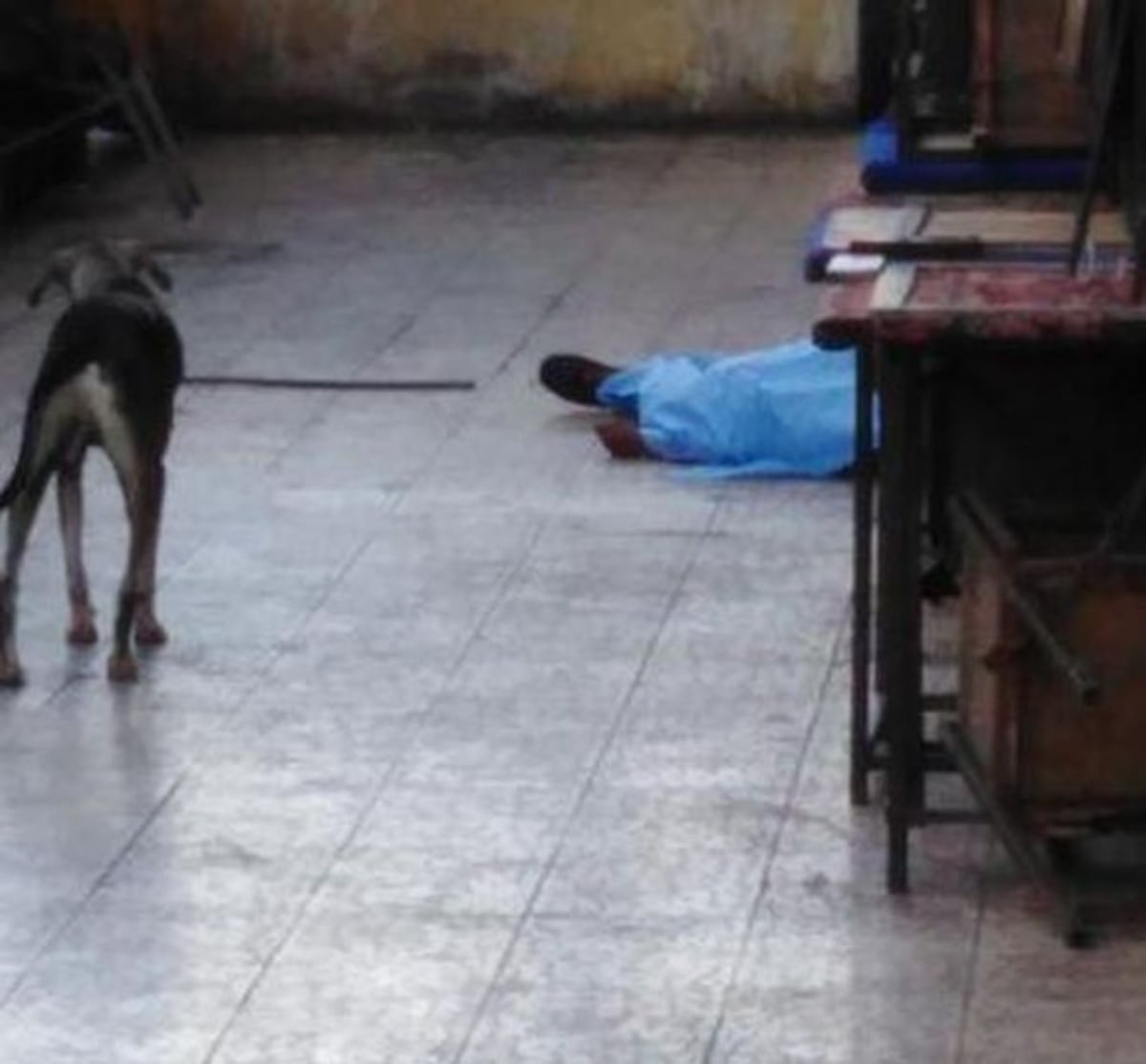 Mujer acaba con la vida de otra en pleno Mercadito de Calidonia | Video