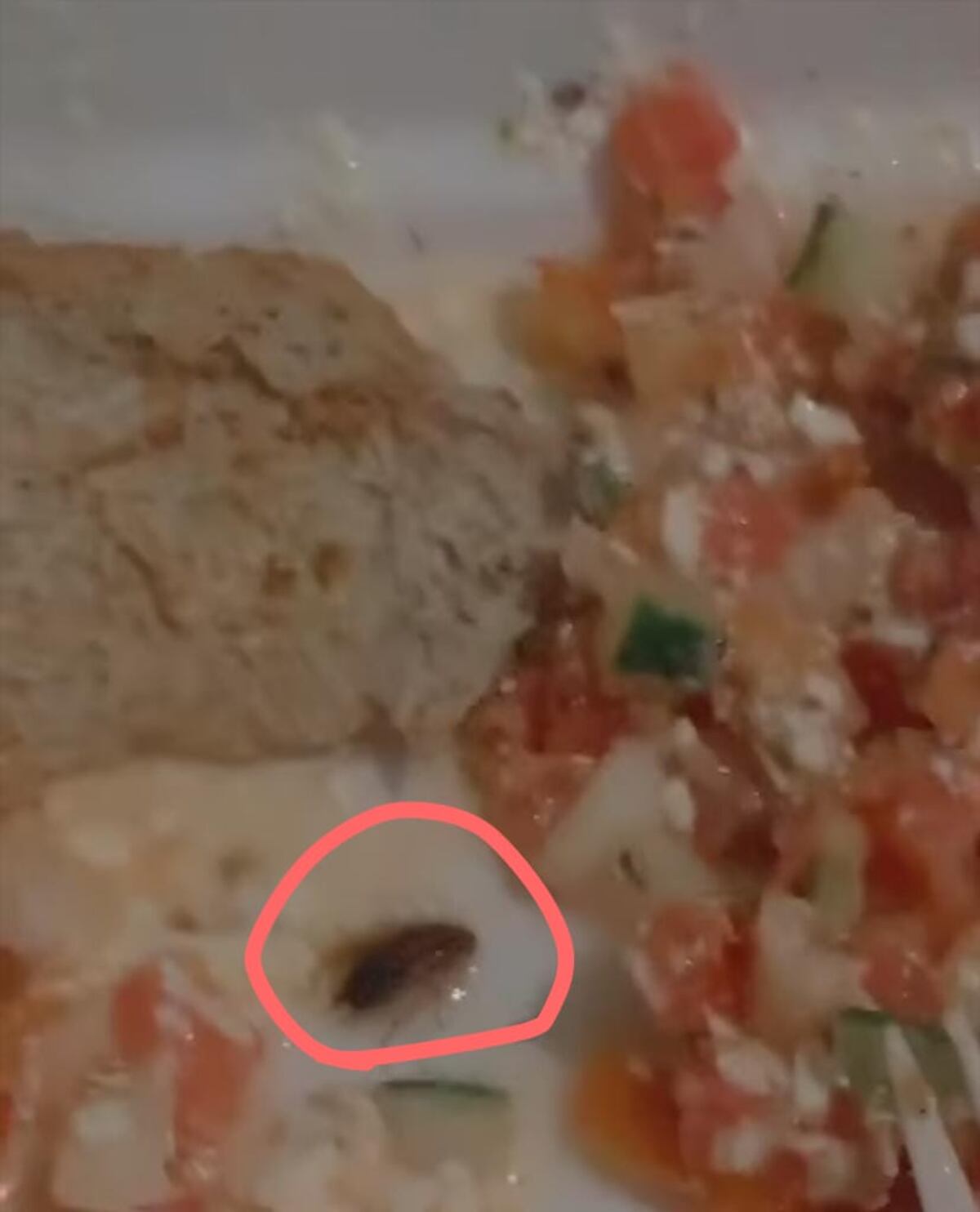 Restaurante ofrece disculpas a Clarissa y descuento a Cher por la cucaracha. Ella tratará de cocinar más en casa +Video