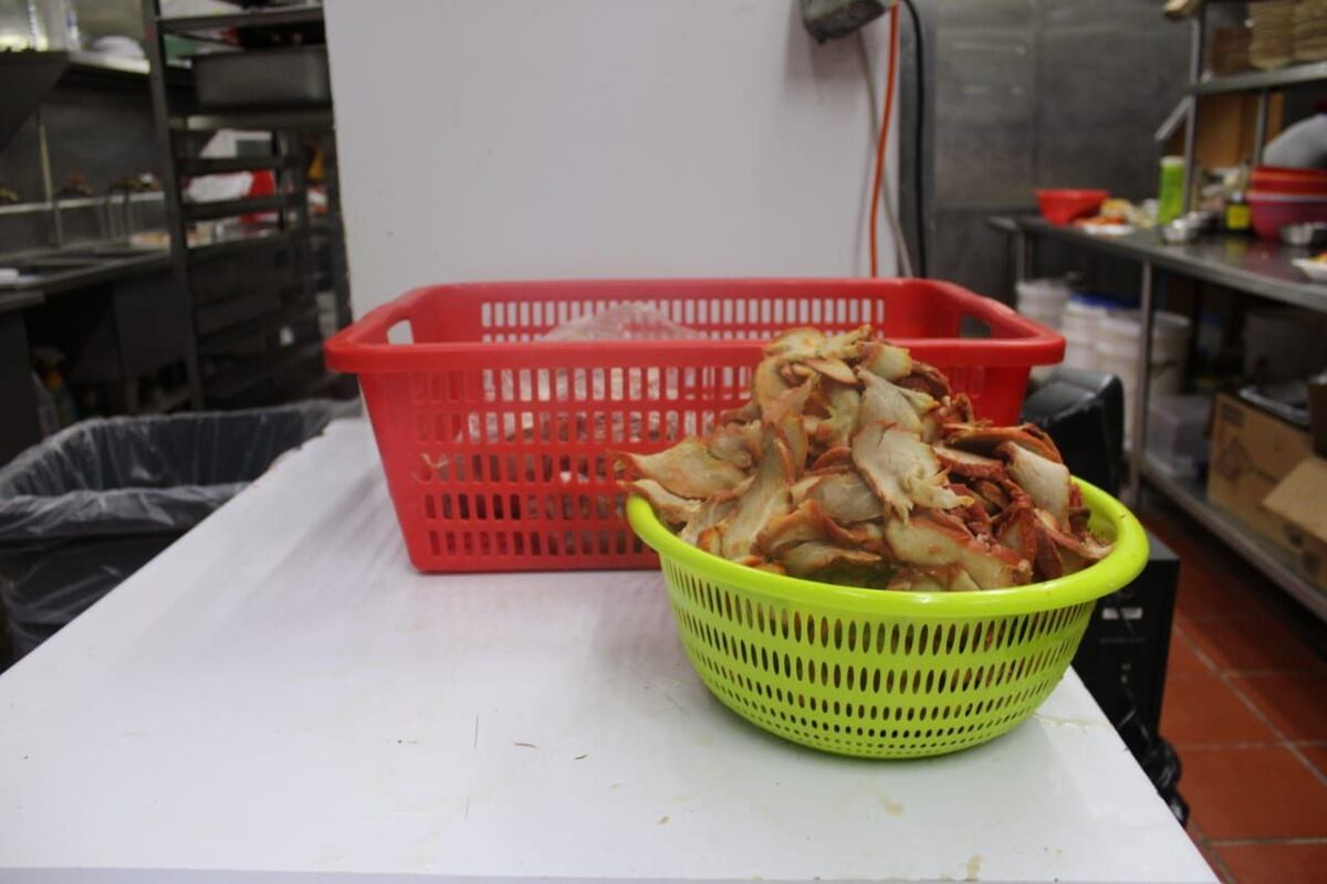 ¡Por insalubres!  Cierran temporalmente restaurante en San Antonio