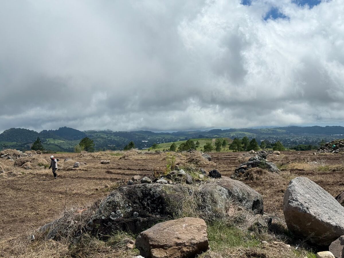Crimen ecológico: detectan maquinaria destruyendo parte del Parque Volcán Barú