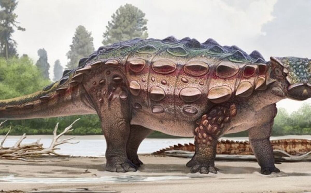 Descubren una nueva especie de dinosaurio con un curioso cráneo puntiagudo