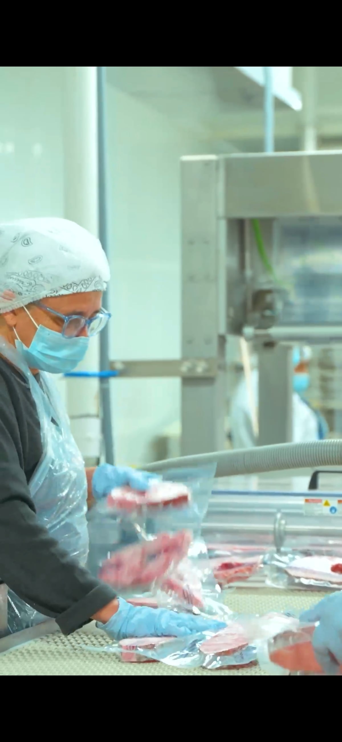 300 mil libras de pescado a la semana: así funciona la zona franca que mueve exportaciones desde Chepo