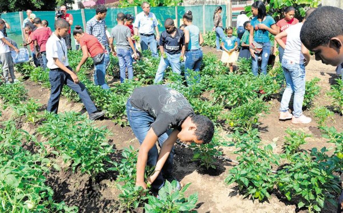 Estudiantes de El Chorrillo tienen su huerto 
