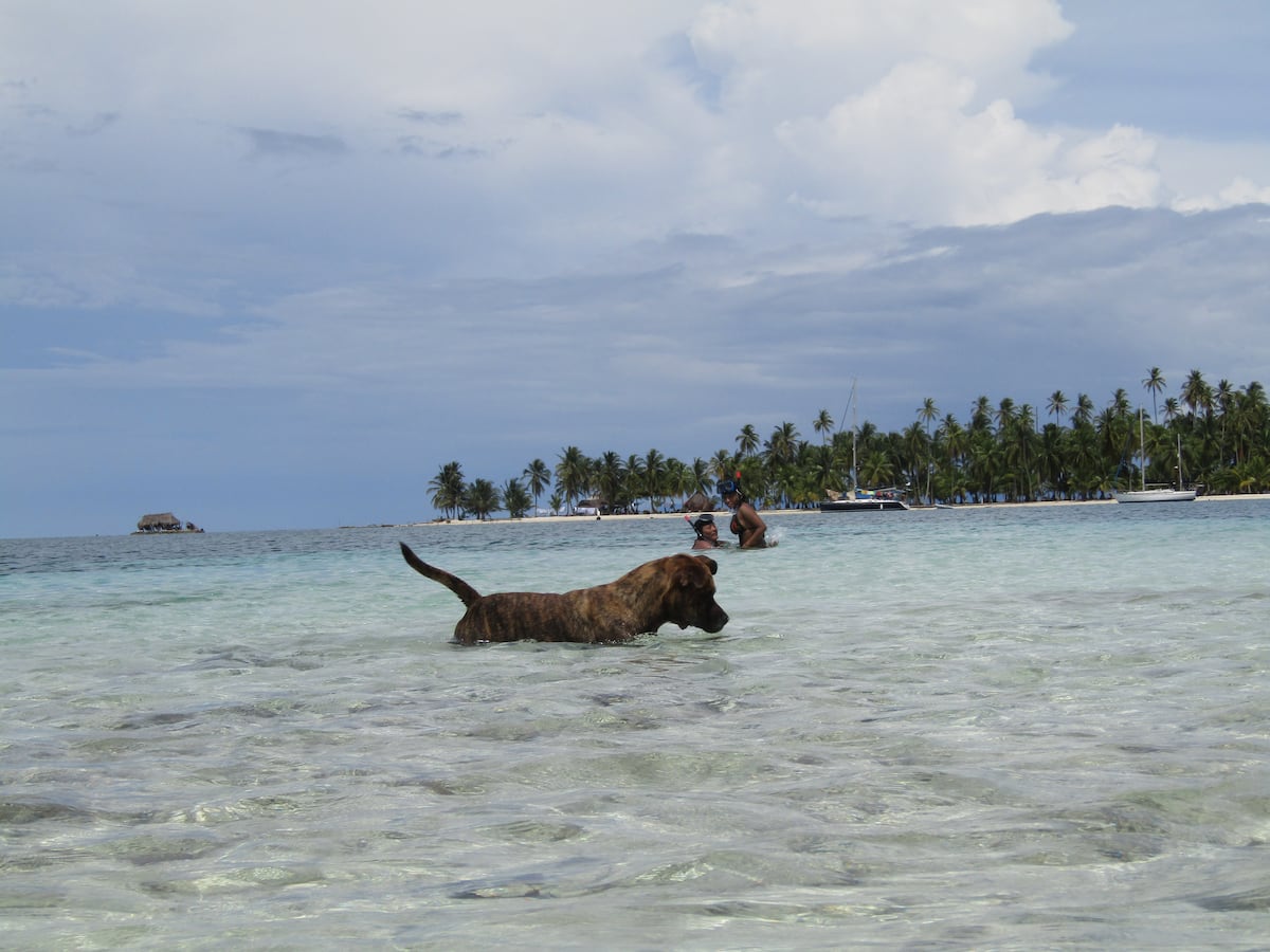 Gunas se preparan para la reapertura del turismo