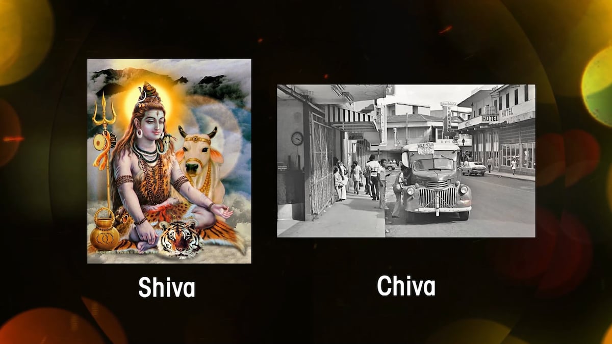 Buco, chiva y el popular xopá. Descubra el origen de algunos panameñismos que trascienden generaciones