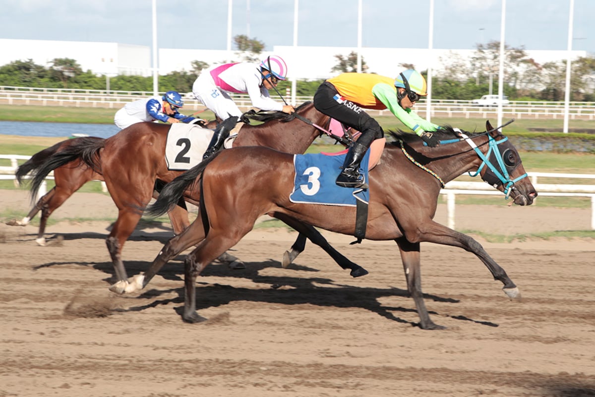 Censo en el Hipódromo Presidente Remón: ¿Quiénes deben registrarse?