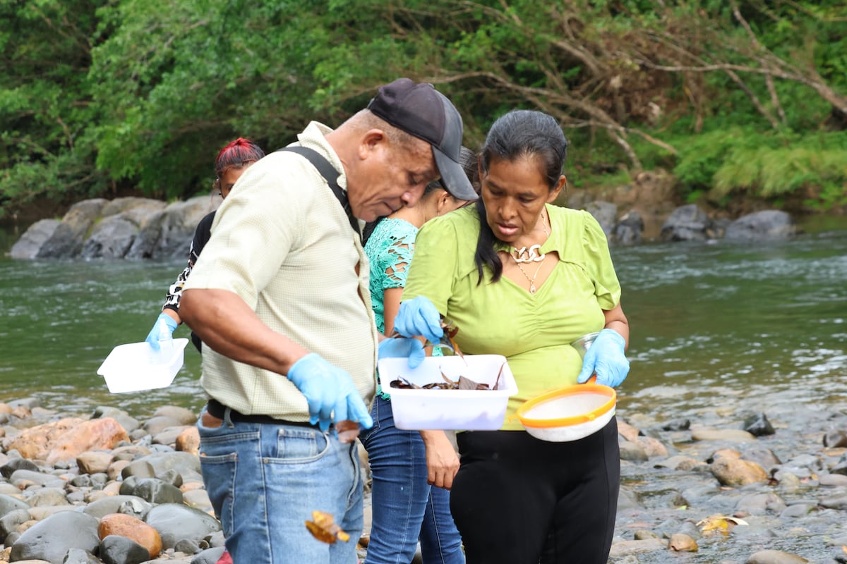 Comunidades cercanas a la mina se unen para monitorear sus ríos con ‘Guardianes del Agua y la Biodiversidad’
