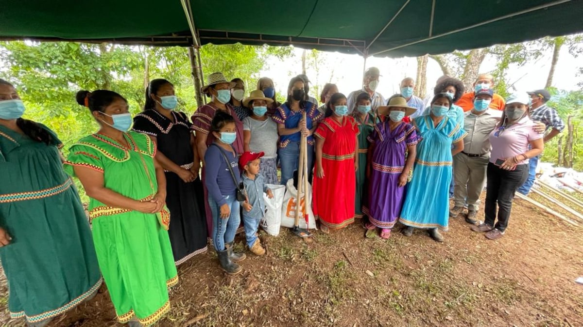 Familias Ngäbe-Buglé cultivan sus tierras 