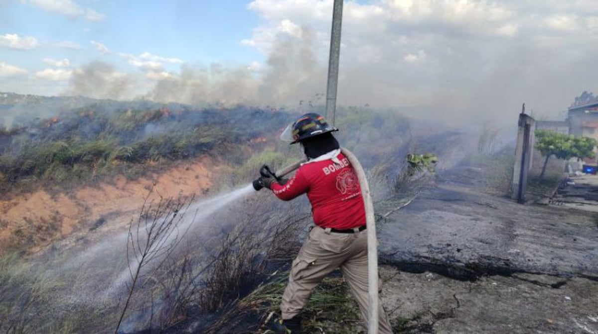Más de 2 mil incendios afectan áreas verdes en todo Panamá este año