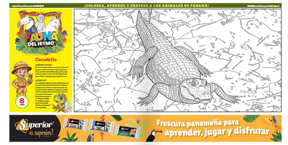 El cocodrilo aparece en ‘Fauna del Istmo’: Mi Diario trae una lámina para colorear y aprender