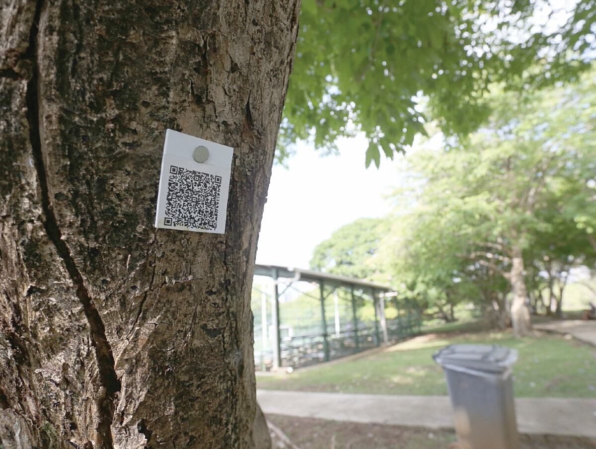 Muere en el Parque Omar. Corría y de pronto se desplomó