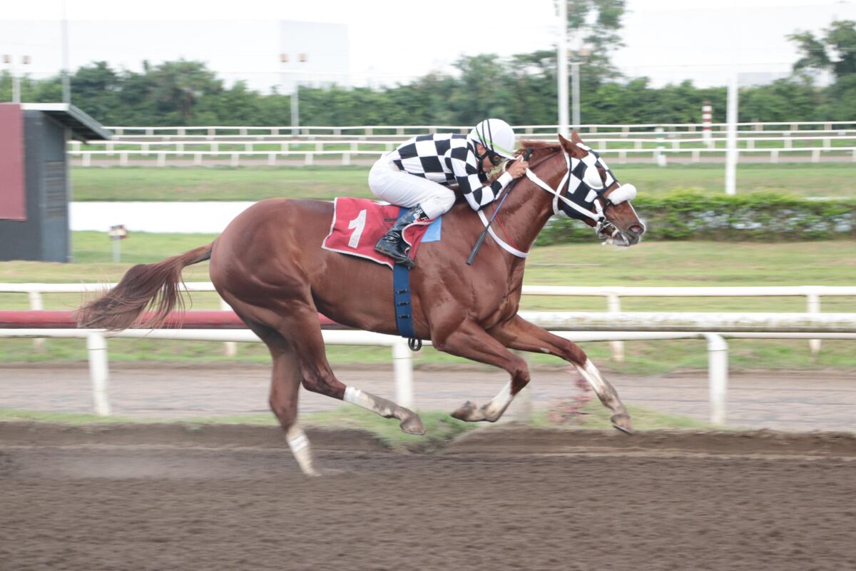 Gran carrera con nueve ejemplares en el Clásico del Día del Trabajador este 1 de mayo