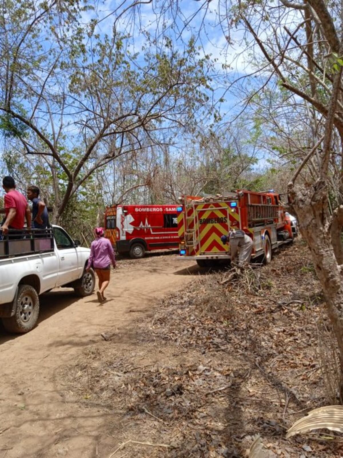 Varios heridos y una persona muerta por cruel ataque de abejas africanizadas