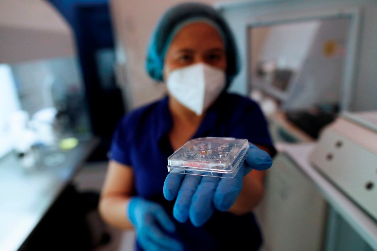 Fecundación in vitro, método de reproducción asistida más demandado en Panamá