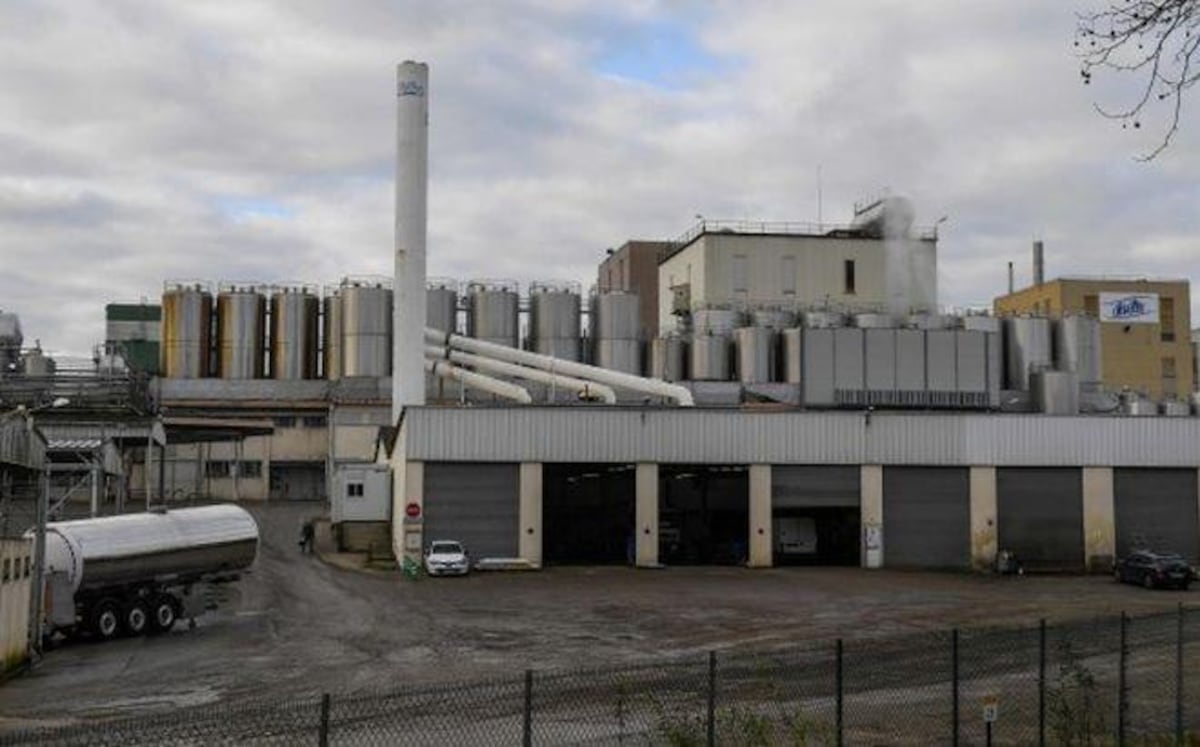 NO INGRESARON A PANAMÁ.Productos lácteos contaminadas con la bacteria Salmonella