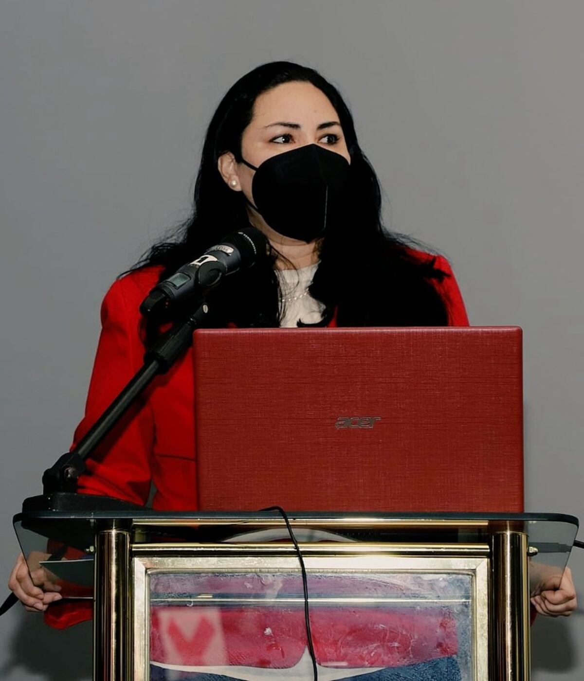 Directora de Senniaf acude a la citación en la Comisión de Gobierno