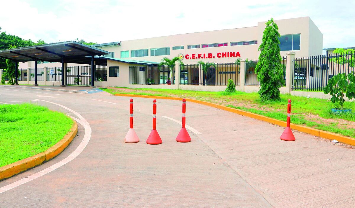 Habían suspendido las clases por las pulgas que deja una manada de monos que pasa por la escuela 