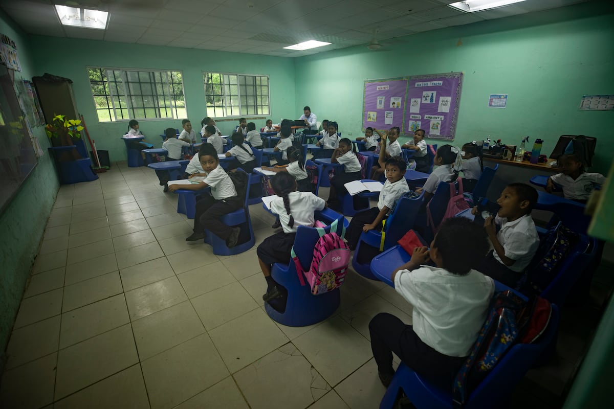 MEDUCA publica lista de 805 docentes seleccionados en concurso de traslados 2026