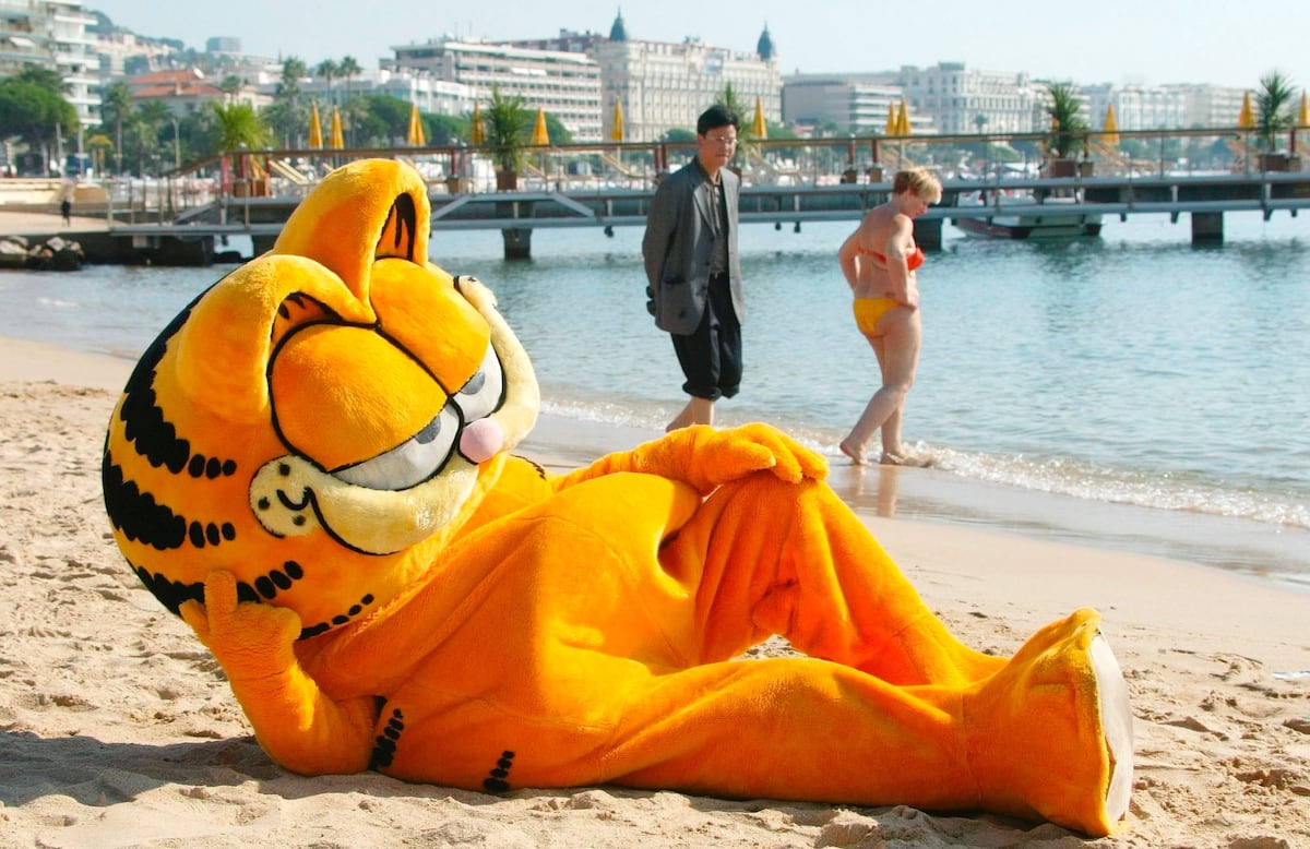 Miau, miau. Hoy es el Día del Gato