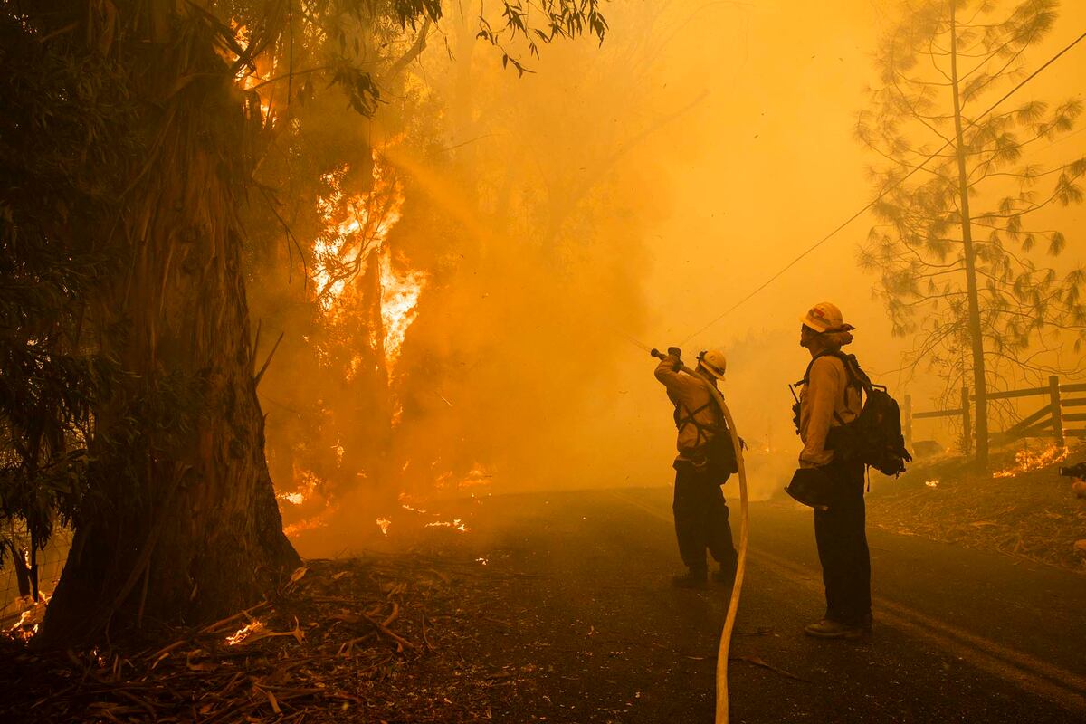 La Nasa muestra la ‘cicatriz’ que dejaron los incendios en California