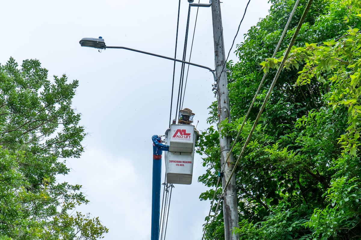 ENSA logra un nivel de cumplimiento del 96% en el año 2024
