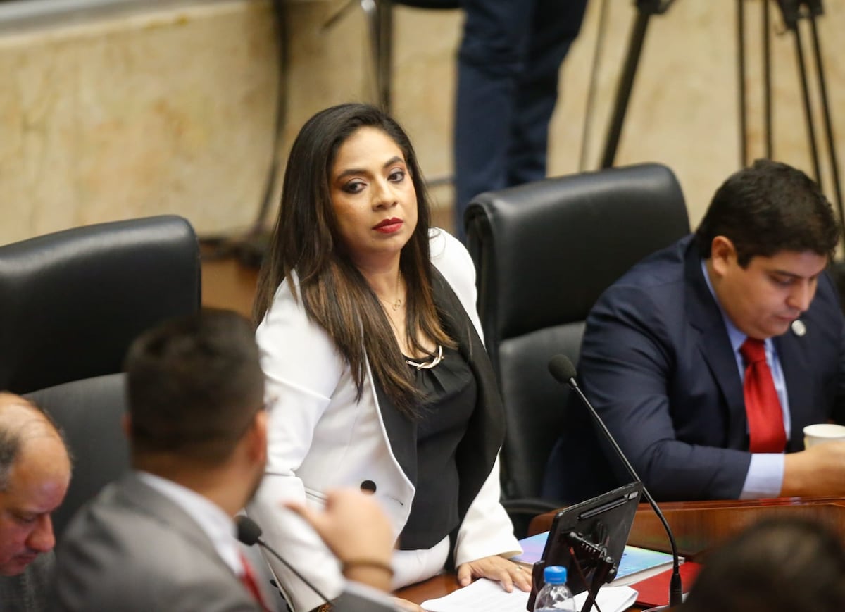 Diputada Ariana Coba propone prisión perpetua para homicidios cometidos con extrema crueldad