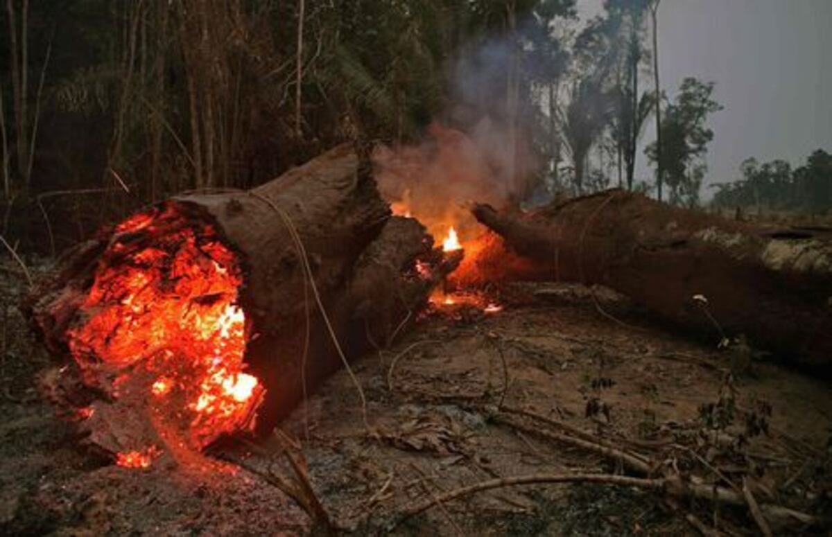Bolivia suma más apoyos de la comunidad internacional para combatir incendios