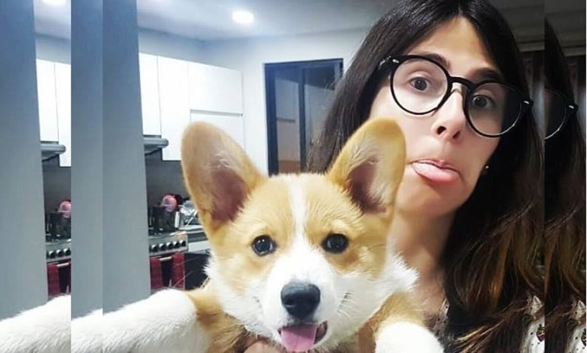 Su perrito le comió su álbum de Panini cuando estaba a punto de completarlo