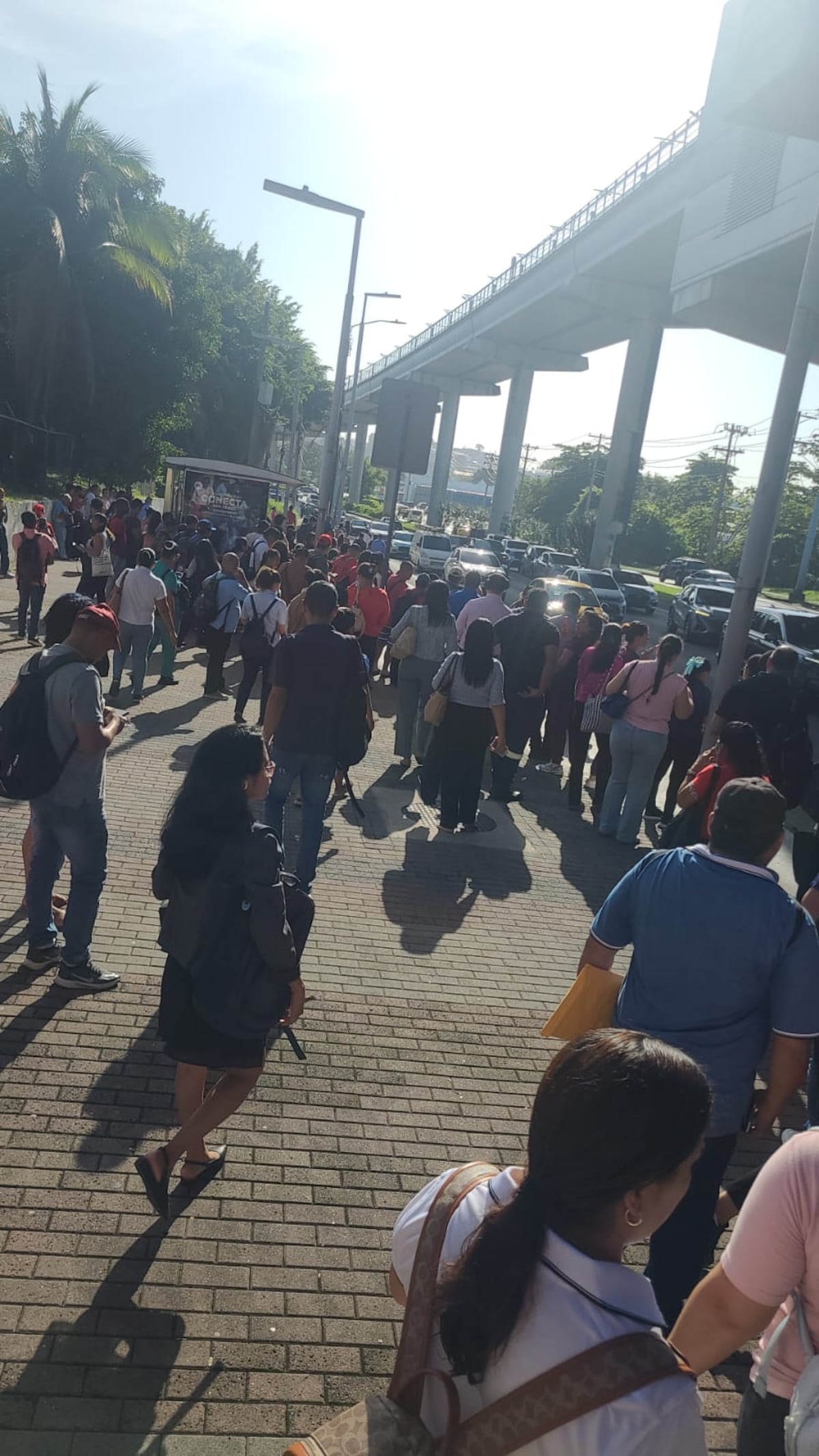 ¡Se sintió durísimo! Director de Geociencias revela detalles del sismo y el Metro reanuda operaciones