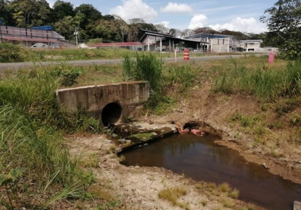 Asesinan a una mujer en Veracruz. La tiran a una quebrada