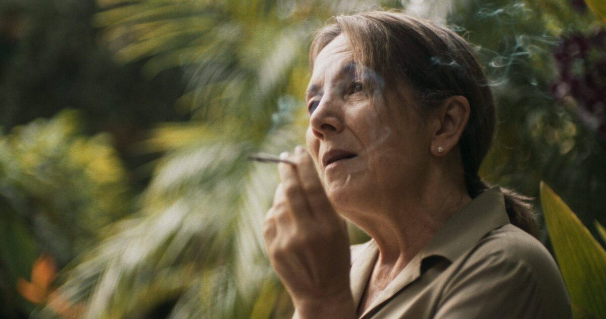 ‘Querido Trópico’ va por los Oscar y Goya 2026 tras conquistar festivales internacionales