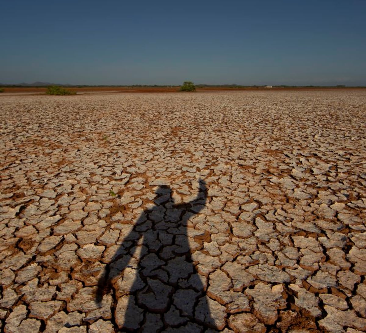 ¿La región de Sarigua es o no un desierto en Panamá?