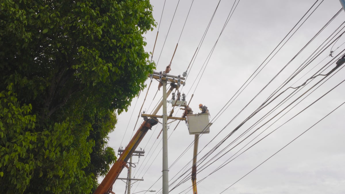 Ensa invierte $15 millones para fortalecer la red eléctrica con tecnología y mantenimiento preventivo ante eventos climáticos